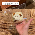 【Sleep Tight】7三毛猫スクエア